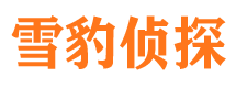 娄烦寻人公司